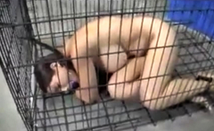 Sub Jane spent her holidays in a cage