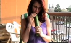 Cucumber on the balcony