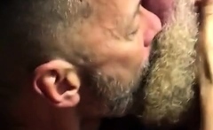 Hairy Bears Passionate Kissing