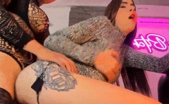 Hardcore Fuck From Tranny